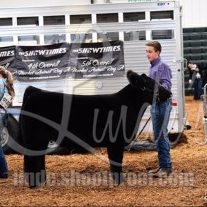 Meet your Posher, Tyler